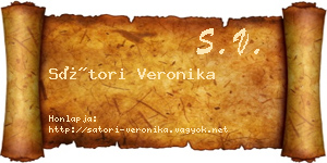 Sátori Veronika névjegykártya
